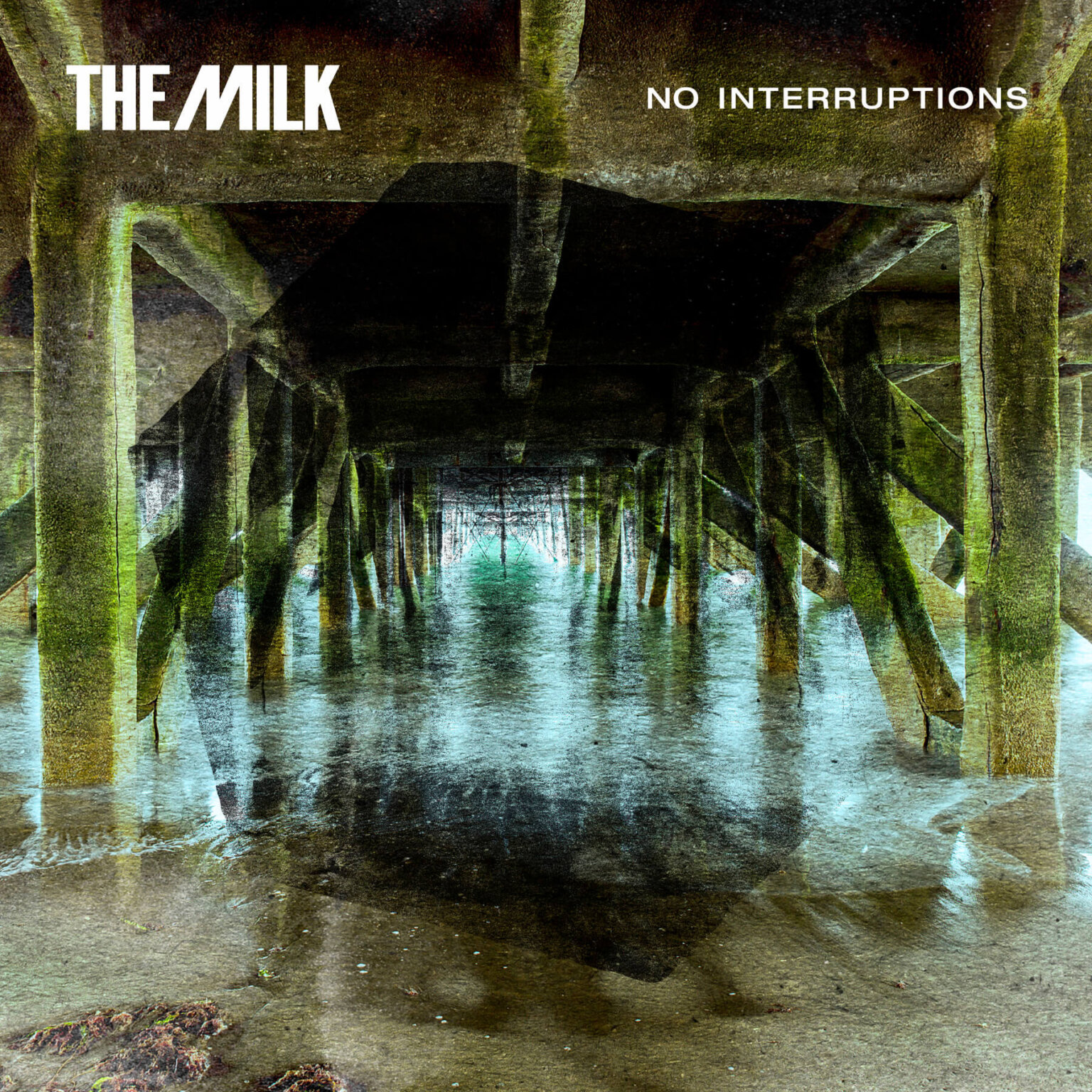 WAH7054 The Milk No Interruptions